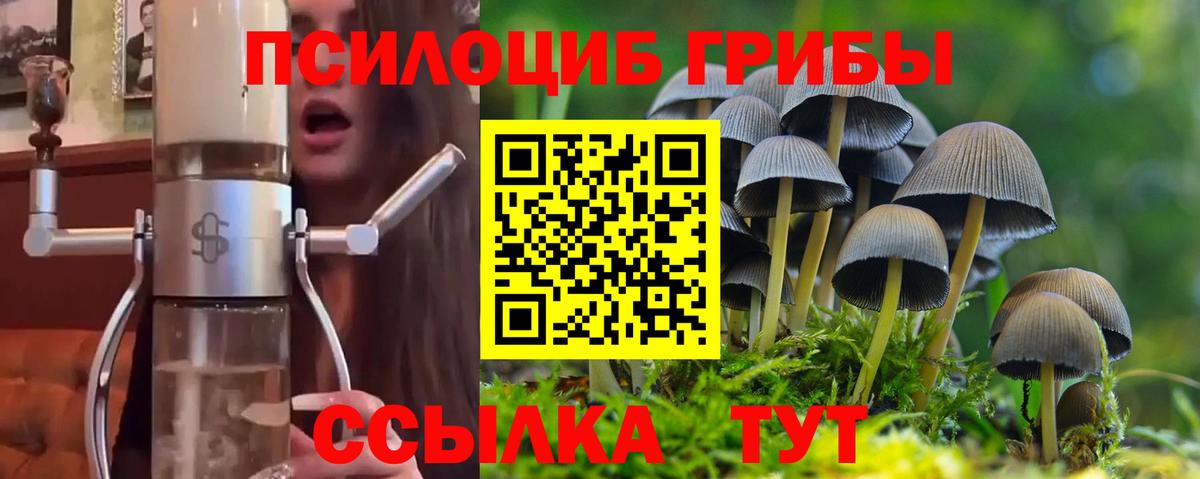 продажа наркотиков  Вход с VPN  Фролово  Галлюциногенные грибы GOLDEN TEACHER 