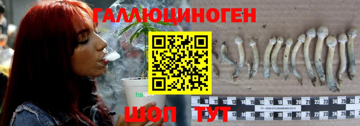 Галлюциногенные грибы прущие грибы Фролово